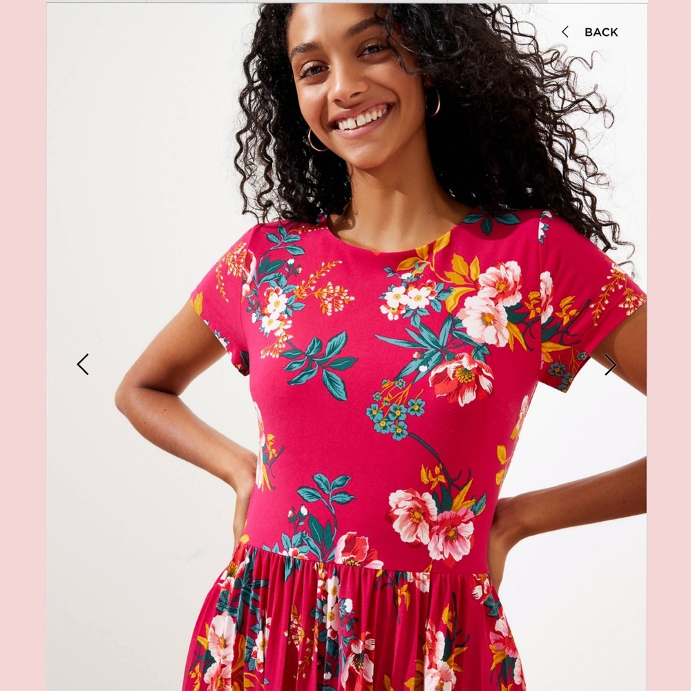 🌹HP🌹NWT LOFT  Floral Pleated Skirted Dress - Picture 2 of 6